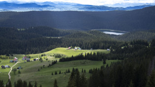 Landschaft