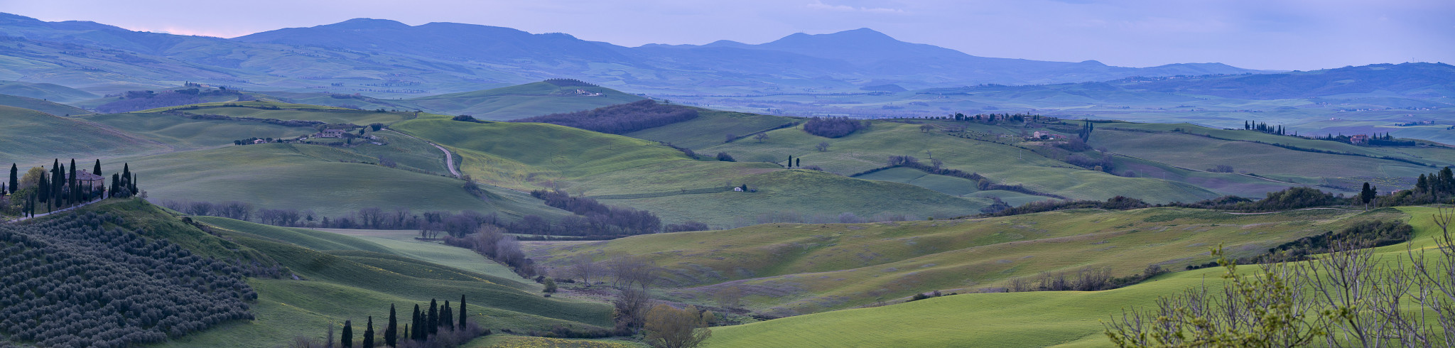 DSC01746-Pano.jpg